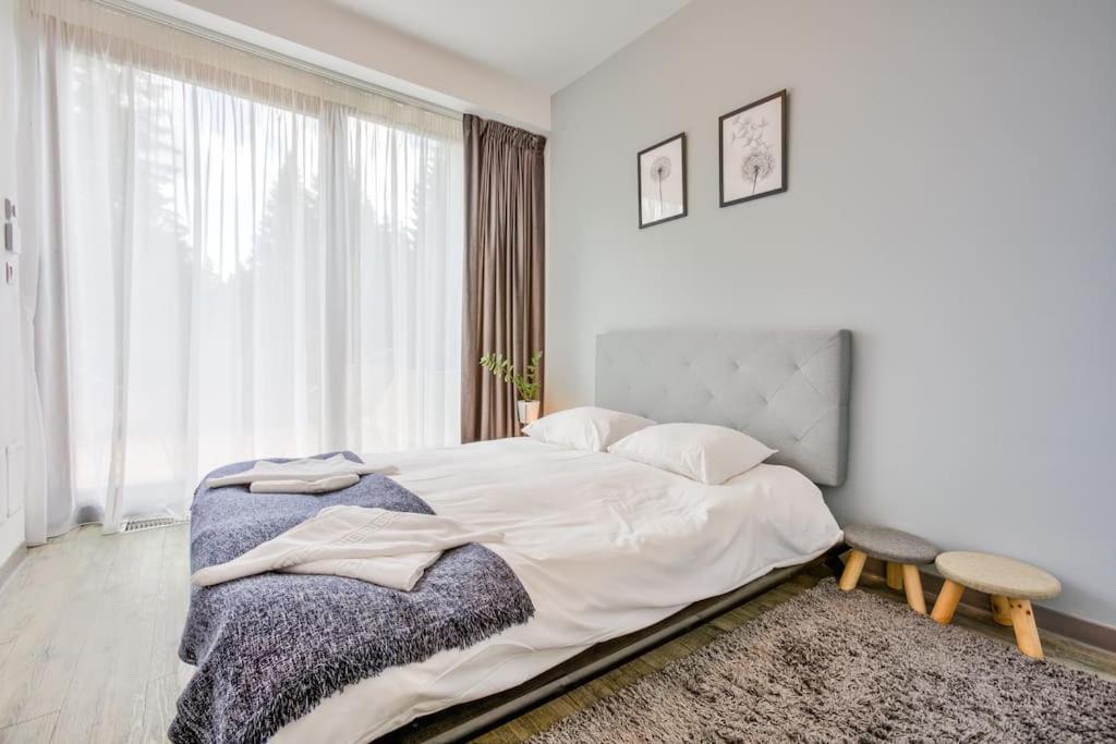 Splendor 3 Bedroom Flat In Silver Mountain Пояна-Брашов Экстерьер фото